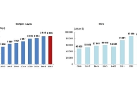 tuik-turkiyede-yerlesik-girisimler-tarafindan-yurt-disinda-kontrol-edilen-girisimlerin-elde-ettigi-ciro-2023-yilinda-85-milyar-801-milyon-dolar-oldu.jpg