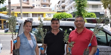 buyuksehirden-ureticiye-zeytin-fidani-destegi.jpg