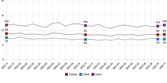 isgucu-istatistikleri-kasim-2025.jpg