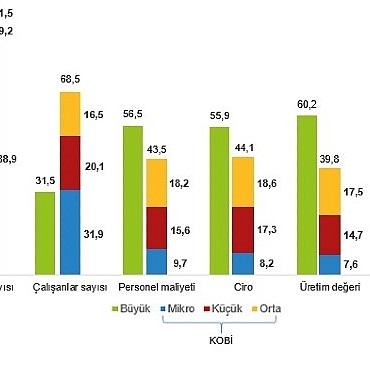 kucuk-ve-orta-buyuklukteki-girisim-istatistikleri-2024.jpg