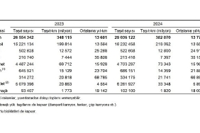 tasit-kilometre-istatistikleri-2024.jpg