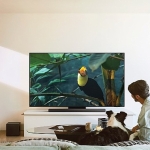 techradar-2025-yilinda-samsung-s95f-oled-tvyi-yilin-tvsi-secti.jpg