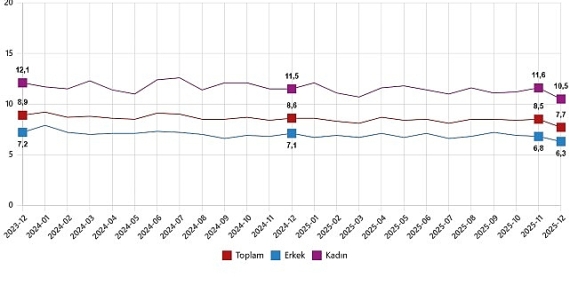 isgucu-istatistikleri-aralik-2025.jpg