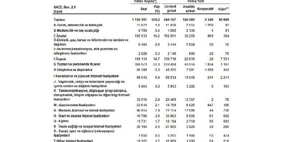 Sektör Bilançoları, 2025